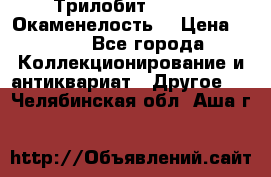 Трилобит Asaphus. Окаменелость. › Цена ­ 300 - Все города Коллекционирование и антиквариат » Другое   . Челябинская обл.,Аша г.